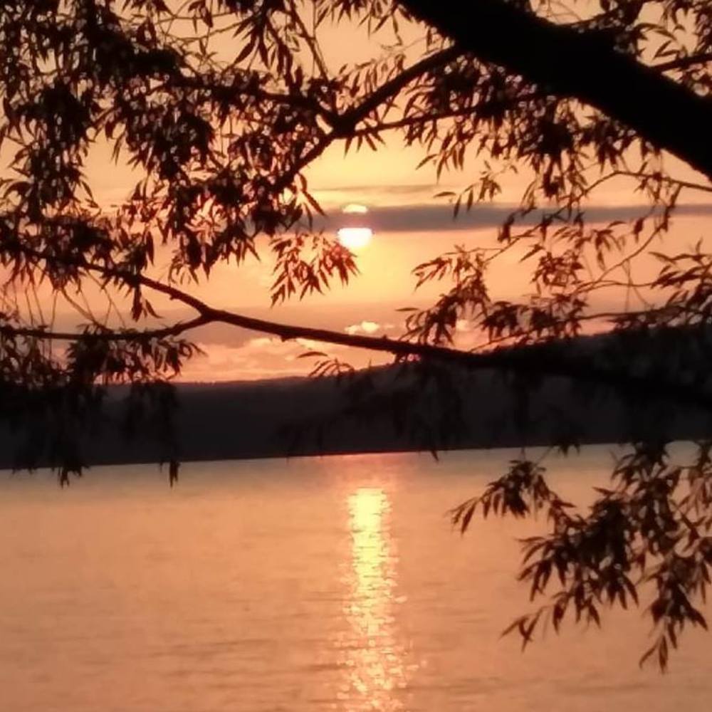 Meet your Posher, Nancy moore